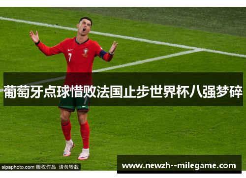 葡萄牙点球惜败法国止步世界杯八强梦碎