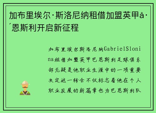 加布里埃尔·斯洛尼纳租借加盟英甲巴恩斯利开启新征程